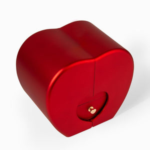Forever Love Necklace with Red Heart Rose Box - HEARTEN