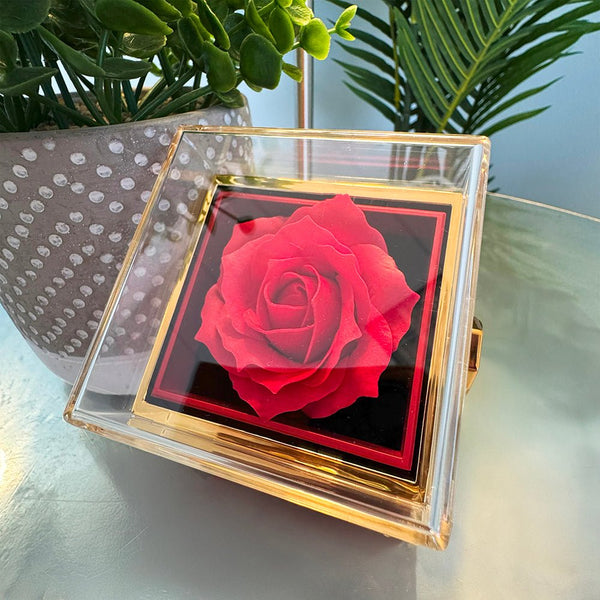 Forever Love with Rotating Rose Gift Box - HEARTEN